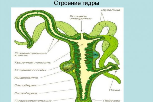 Кракен ты знаешь где покупать